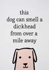 Rude Funny Dog Card - Can Smell a Dickhead From a Mile Away created by Cairn Newton