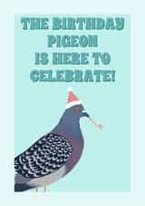 Birthday Pigeon - Party hat on pigeon - funny cute bird card - for bird lover created by Suzanne Taktak
