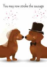 Cute wedding card with non traditional message 'You may now stroke the sausage' created by Dotts Yard