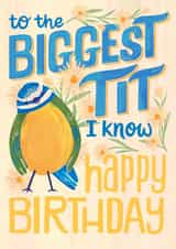 Funny Birthday Card - Biggest Tit I Know - Blue Tit created by Nicola B Studio
