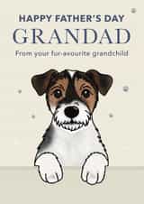 Cute Father's Day Card - For Grandad - Jack Russell created by Choo Choo 