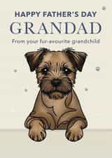 Cute Father's Day Card - For Grandad - Border Terrier created by Choo Choo