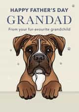 Cute Father's Day Card - For Grandad - Boxer created by Choo Choo 