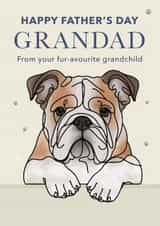 Cute Father's Day Card - For Grandad - Bulldog created by Choo Choo 
