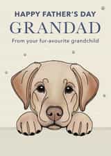 Cute Father's Day Card - For Grandad - Labrador created by Choo Choo 