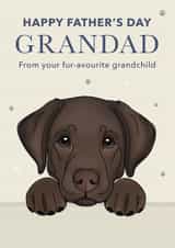 Cute Father's Day Card - For Grandad - Chocolate Labrador created by Choo Choo 