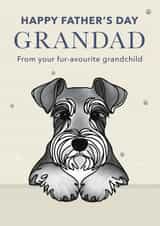 Cute Father's Day Card - For Grandad - Schnauzer created by Choo Choo 