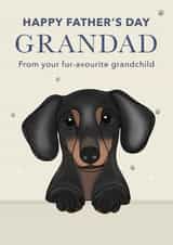 Cute Father's Day Card - For Grandad - Dachshund created by Choo Choo 