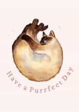 Cute Birthday Card - Siamese Cat created by Amy Holliday