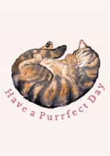 The purrrrfect card for a brown tabby cat lover, from you or from the cat! created by Amy Holliday