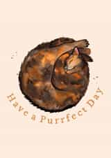 The purrrrfect card for a torti cat lover, from you or from the cat! created by Amy Holliday