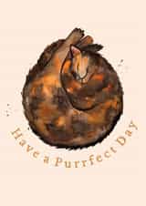 Cute Birthday Card - Tortoiseshell Cat created by Amy Holliday