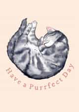Cute Birthday Card - Grey Tabby Cat created by Amy Holliday