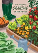 Classic Birthday Card - For Grandad - Gardening - Allotment created by Debbie Daley Illustrations