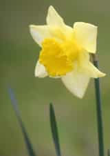 Spring Has Sprung created by Michelle Louise