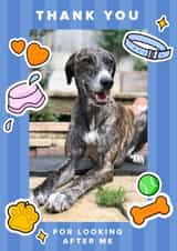 Personalised Thank You Photo Card created by Ellen Jane LDN - Cute Thank You Card - Pet Sitting - From The Dog