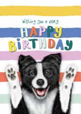 Funny Birthday Card - Border Collie - From The Dog created by badgerbee design