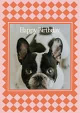 Personalised Birthday Photo Card created by AniSomi - Classic Birthday Card – Checkerboard Frame