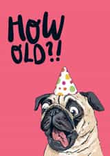 Funny Birthday Card - Cheeky Pug - How Old?! created by Lovely Paper Stuff ltd