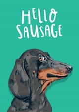 Cute Birthday/Just Because Card - Sausage Dog - Dachshund created by Lovely Paper Stuff ltd