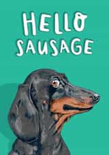 Cute Birthday/Just Because Card - Sausage Dog - Dachshund created by Lovely Paper Stuff ltd