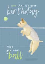 Cute Birthday Card - Have A Ball - Tennis Ball - Dog created by Sian Moore Illustration