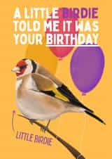 Fun Little Birdie Card - Bird Birthday Card - Goldfinch created by Sian Moore Illustration