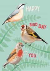 Classic Birthday Card - Birds - Wildlife created by Sian Moore Illustration