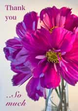 Thank you - Gratitude - Cosmos Flowers created by Lola McCue