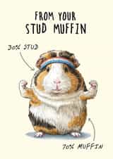 Funny Anniversary Card - Stud Muffin - Gym Gerbil created by Bewilderbeest