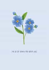 Sorry for your loss sympathy card forget me nots created by Hollie McManus Illustration