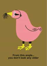 Funny Birthday Card - Cheeky Seagull - You Don't Look Any Older created by Seekprint