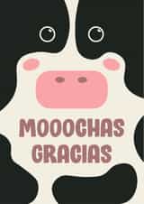 Cute Thank You Card - Cow - Moo-chas Gracias created by Katie Delia