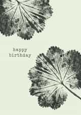 Classic Birthday Card – Alchemilla Mollis created by Unfurling Press