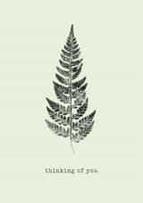 Classic Thinking of You Card – Fern Leaves created by Unfurling Press