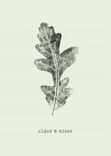 Classic Birthday Card – Oak Leaf – Older And Wiser created by Unfurling Press