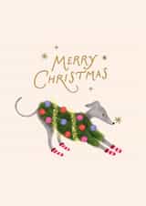 Cute Christmas Card - Whippet - Costume created by Studio Mads