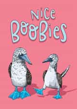 Boobies Funny Rude card for Anniversary/Love/Valentine's/Birthday card for Her created by Lovely Paper Stuff ltd
