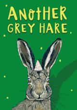 Another Grey Hare, Funny Birthday Card for Him/Her/Friend/Dad/Grandad/Partner created by Lovely Paper Stuff ltd