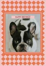 Personalised Birthday Photo Card created by AniSomi - Modern Birthday Photo Card For Anyone - Harlequin Design