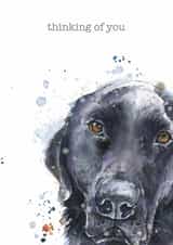 Cute Thinking Of You Card - Black Labrador - Pet Loss created by Little Red Boots