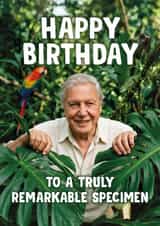 Funny Birthday Card - David Attenborough - Remarkable Specimen created by Bonne Nouvelle