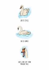 Stylish Swan - Funny Card - Any Occasion created by the Kitten and the Bear