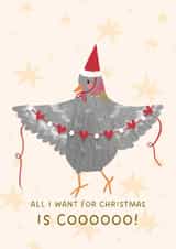 Cute Christmas Pigeon Card for Partner - All I Want for Christmas is COO - Funny created by Kitty Strand