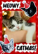 Personalised Christmas Photo Card created by Violet and Alfie - Christmas Card For Cat Lover - Meowy Catmas