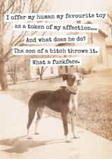 Funny Birthday/Just Because Card Card - Favourite Toy & Ungrateful Human - From The Dog created by Raven's Rest Studio