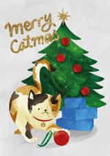 Cute Christmas Card - Playful Cat created by Suzanne Brearley Design