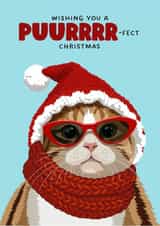 Cute Christmas Card - Chilly Cat created by Rich Girl Paper