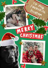 Personalised Christmas Photo Card created by Violet and Alfie - Christmas Card From The Dog - To My Favourite Human
