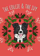 Funny Christmas Card For Dog Lover - The Collie and the Ivy created by Calina Ho